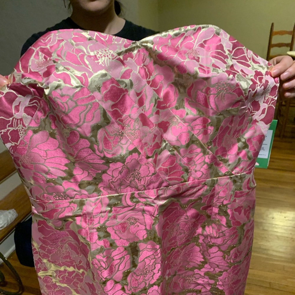 Lilly Pulitzer Raya Dress Pirates Bootyniere NWT